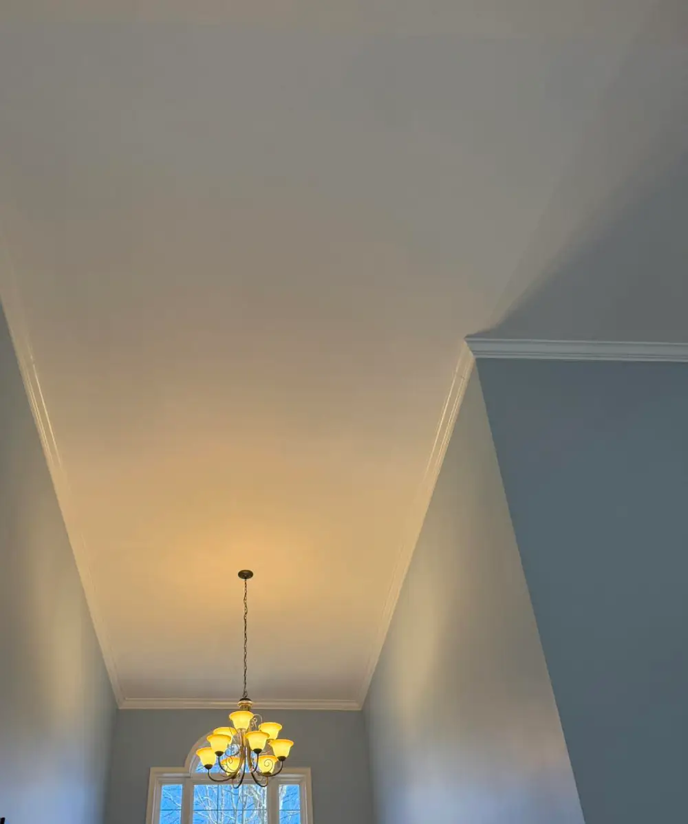 Reliable House Painter